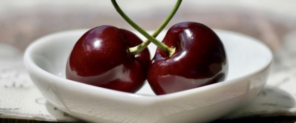 Dlaczego owoców wiśni nie należy zrywać wraz z szypułkami?